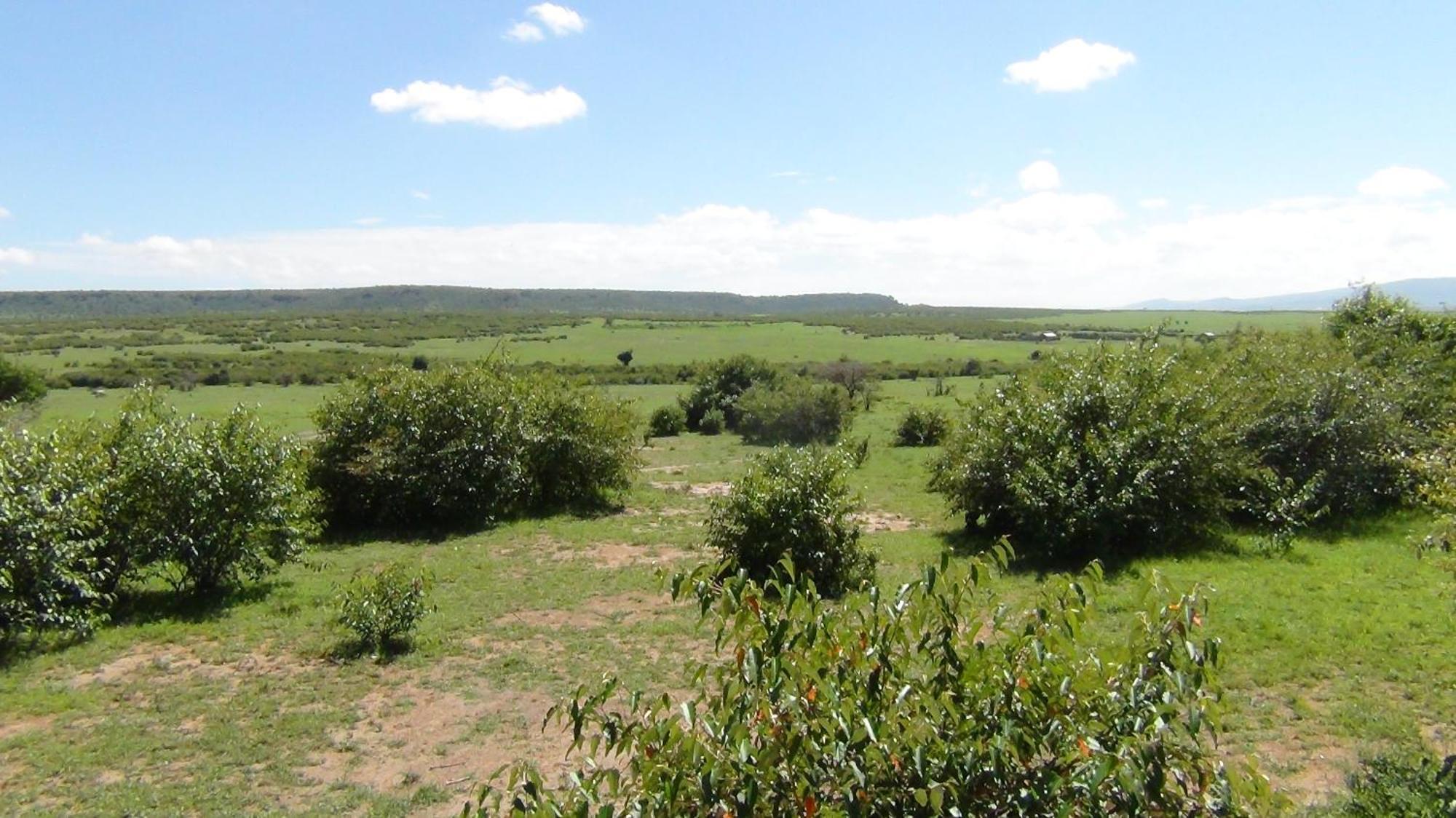 Narasha Homestay - Maasai Mara Talek Cameră foto