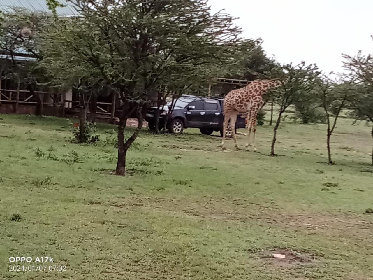 Narasha Homestay - Maasai Mara Talek Cameră foto