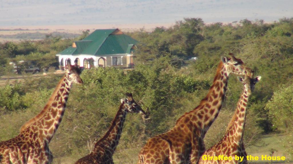 Narasha Homestay - Maasai Mara Talek Exterior foto